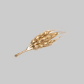 The Wheat Brooch