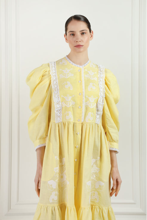 Arborele genealogic Midi galben