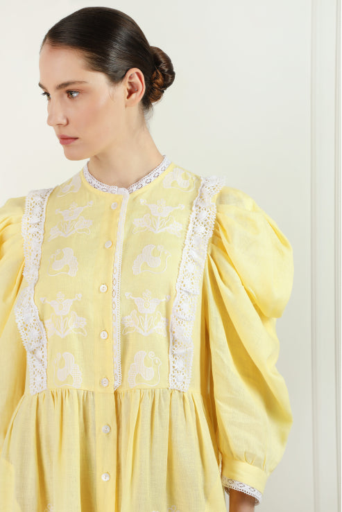 Arborele genealogic Midi galben