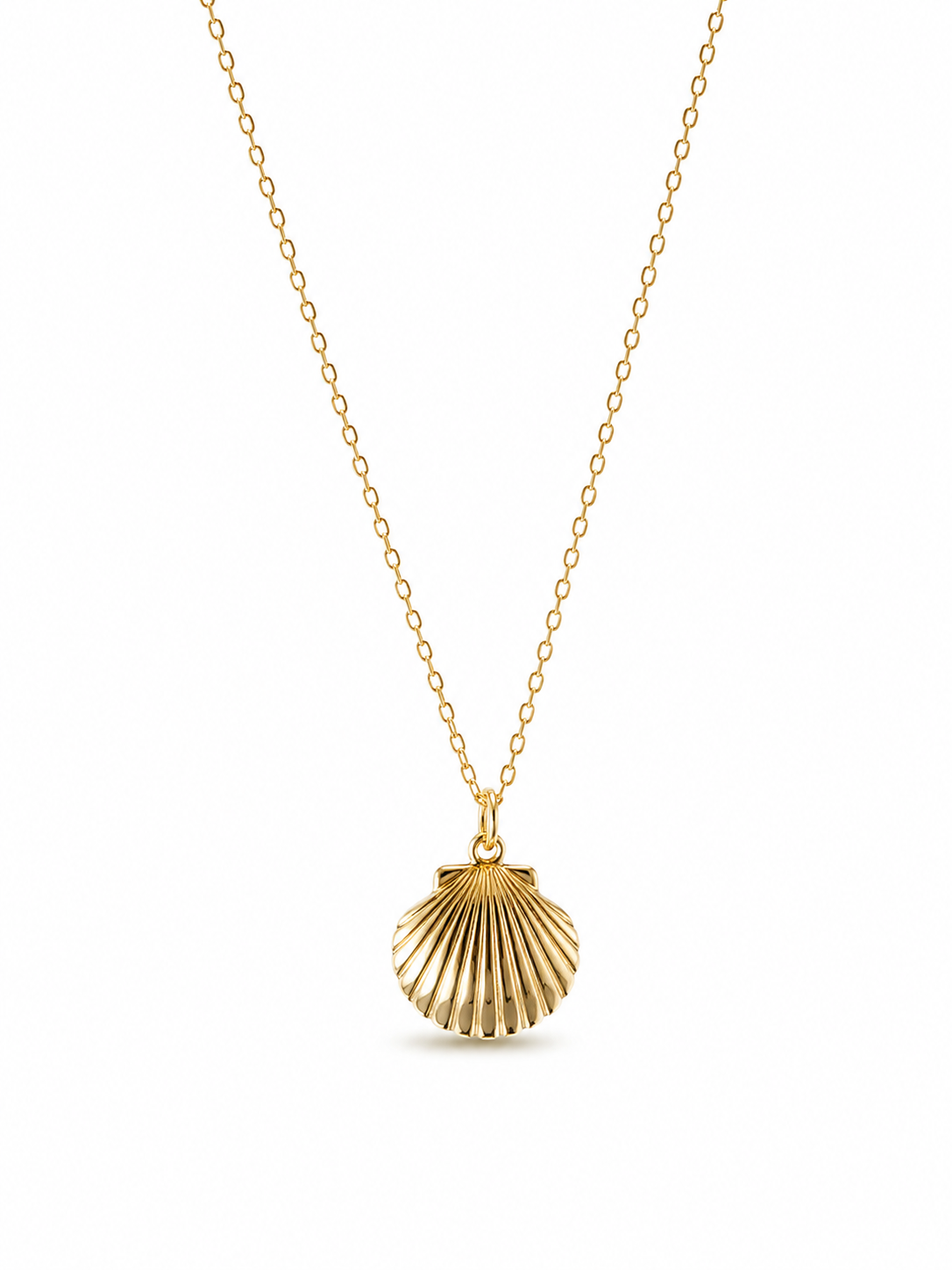 Gold necklace with a shell pendant on a white background