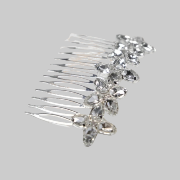 Pieptan de par Mathilde