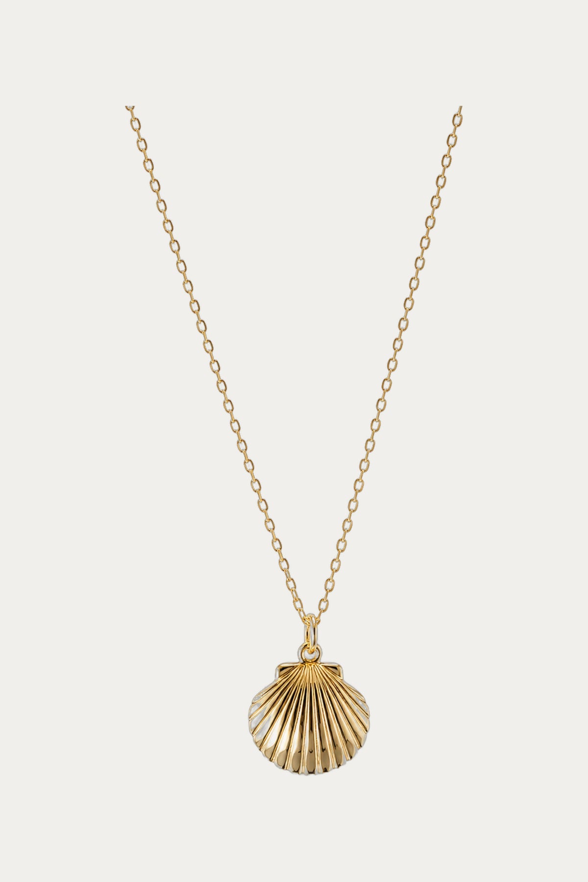 Katerini Mou Adjustable Shell Locket Necklace by Katerini Mou